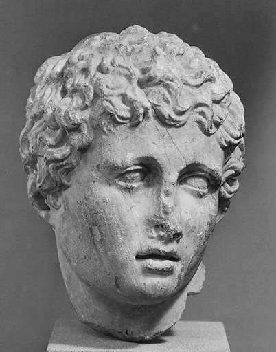 Marble head of a youth