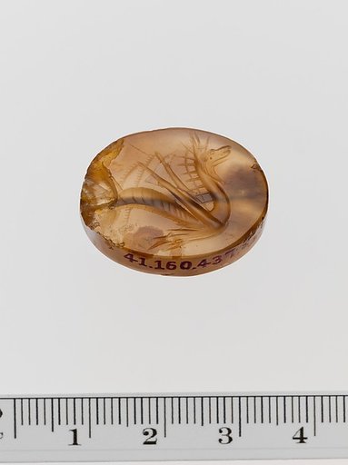 Chalcedony scaraboid seal