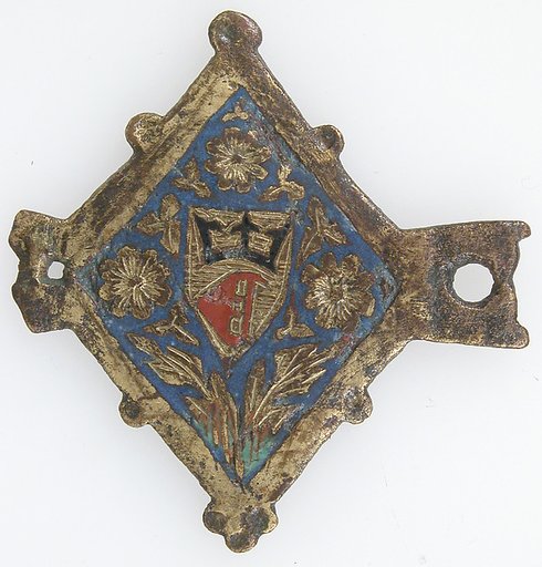 Harness Pendant