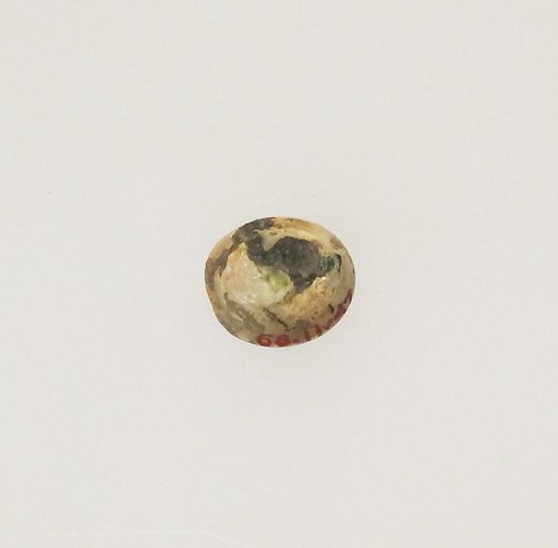 Glass bead