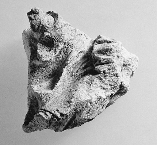 Fragments of drapery