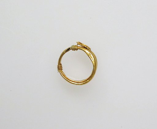 Earring or hair coil