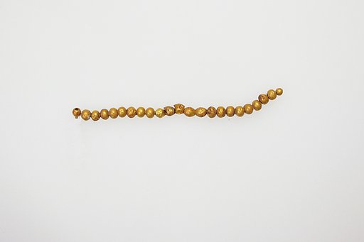 Beads, 23