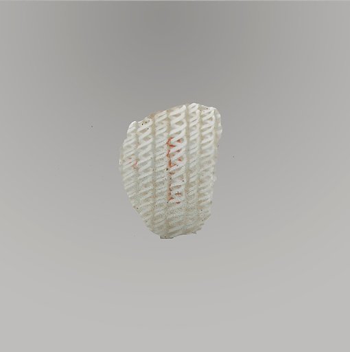 Glass network mosaic fragment