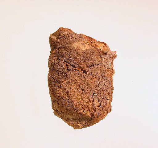 Pendant: head of a woman