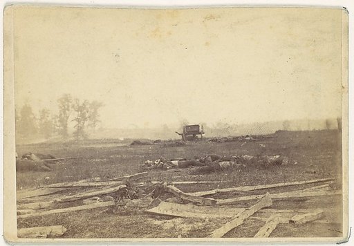 View on the Battlefield of Antietam, September 1862