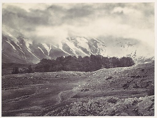 Distant View of the Cedars of Lebanon
