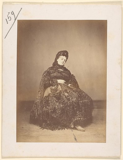 Le Caracul (L'Astrakhan)