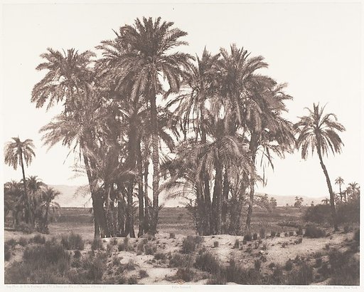 Karnak, Groupe de Dattiers Vu du Point A