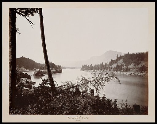 View on the Columbia, Cascades