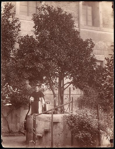[St. Dominic's Orange Tree on the Aventine]