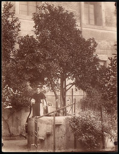 [St. Domenic's Orange Tree on the Aventine]