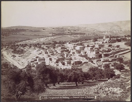 Vue générale de Bethany - General view of Bethany