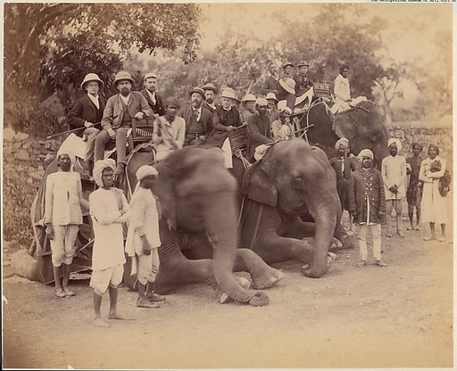 Elephant Group