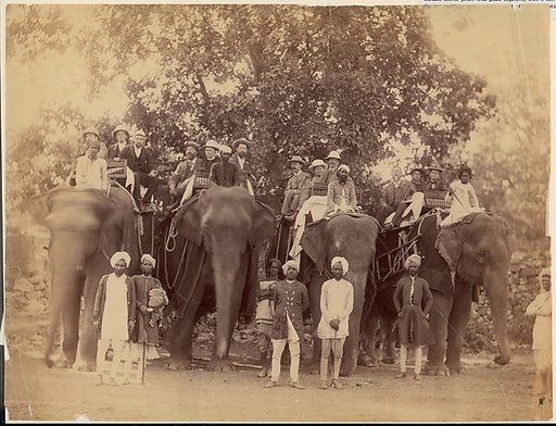 [Four Elephants with Western Travellers and Attendants, Jaipur, India]