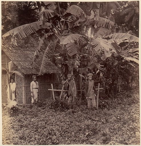 Batavia
