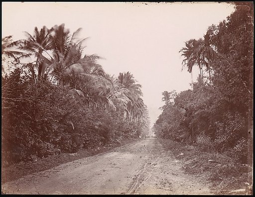 Road Near Singapore