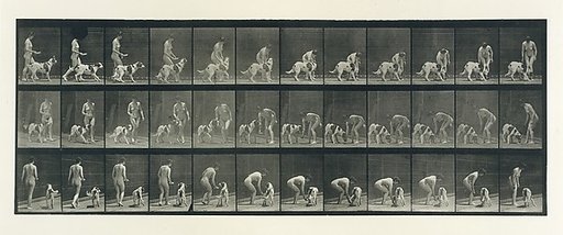 Animal Locomotion.  An Electro-Photographic Investigation of Consecutive Phases of Animal Movements.  Commenced 1872 - Completed 1885.  Volume IV, Women (Nude)