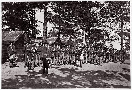 21st Michigan Infantry. Sherman's Volunteers