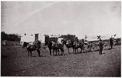 The Crack Team of the 1st Division, 6th Corps near Hazel River, Virginia