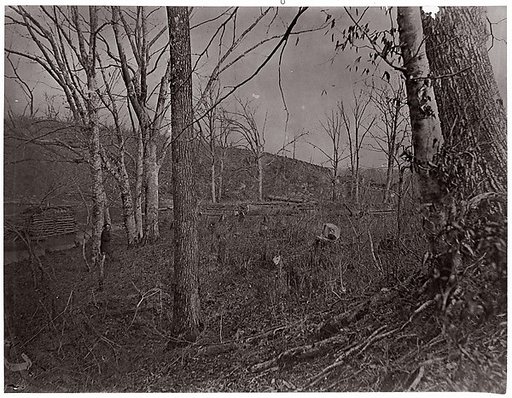 Bull Run, Virginia