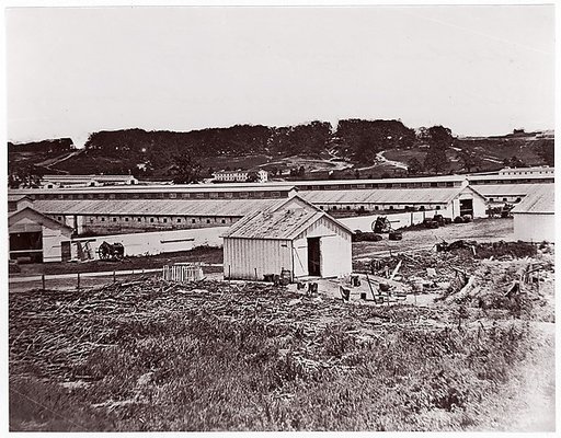 Camp Barry near Bladensberg, Maryland. Stables