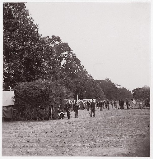 [Encampment alongside a stand of trees].  Brady album, p. 123