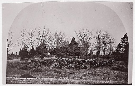 [Cache of Cannon].  Brady album, p. 123