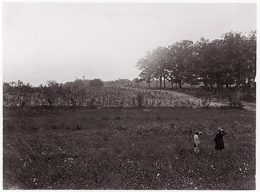 [Battlefield of Gettysburg, Pennsylvania (Scene of General Reynold's Death, The Eastern Edge of McPherson's Woods, view looking toward Seminary Ridge)]