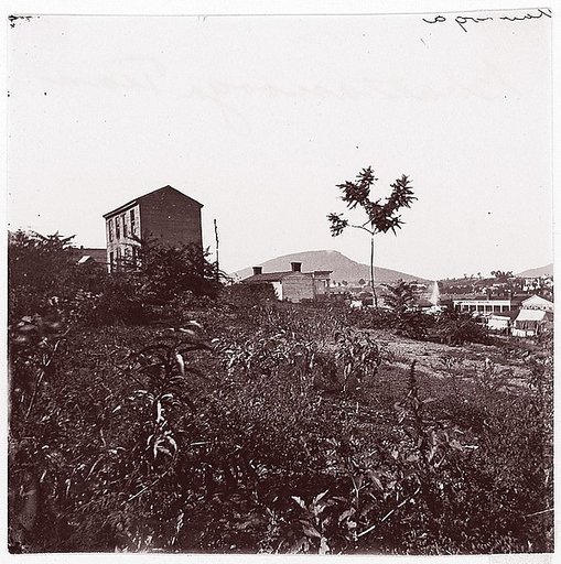 [View of Houses on Hillside, Chattanooga, Tennessee]