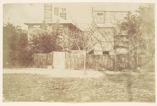 [Tree in Yard]