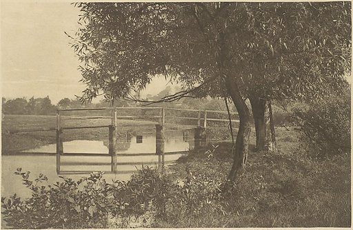 On the "Sow" near Walton's House at Shallowford