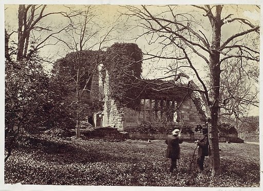 Near Wilty