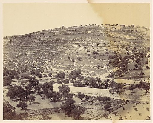 [Garden of Gethsemane and the Tomb of the Virgin, Jerusalem]