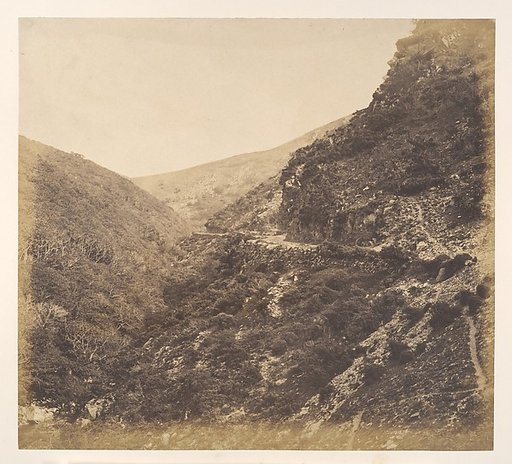 On the Road to Watersmeet, near Lynton, North Devon