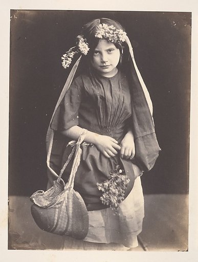 Wild Flowers