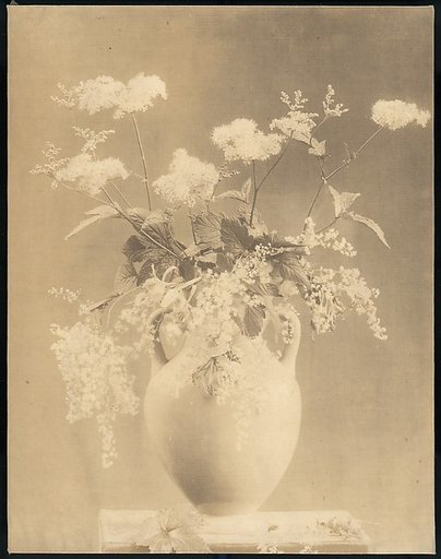 [Vase of Flowers]