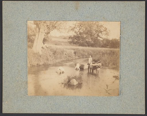 [Three Children and a Dog Playing in the Creek, July 4, 1883]