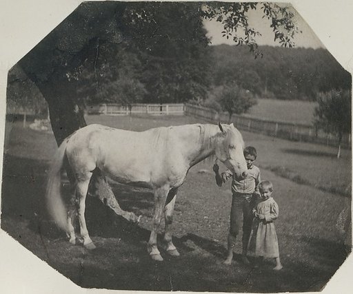 [Thomas Eakins's Horse Billy and Two Crowell Children at Avondale, Pennsylvania]
