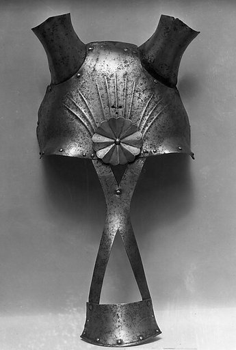Shaffron (Horse's Head Defense)