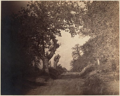 Fontainebleau, chemin sablonneux montant