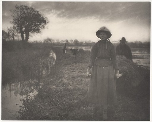 Poling the Marsh Hay