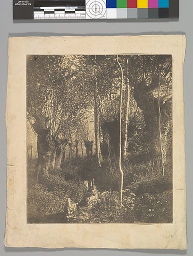 [Landscape, Arras]