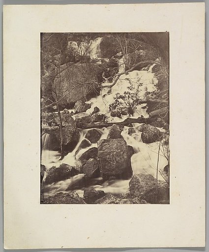 [Trees and Waterfalls]