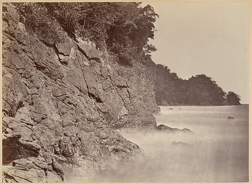 Tropical Scenery, Cliff - Limon Bay