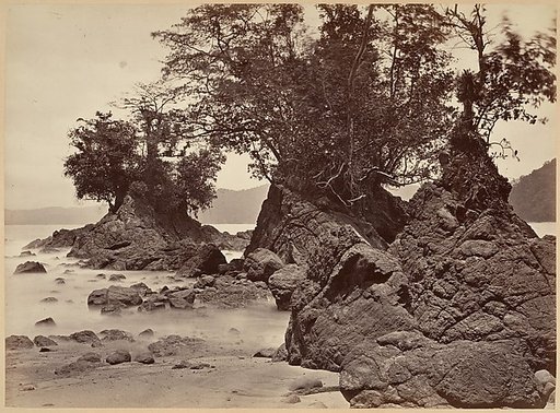 Tropical Scenery, Limon Bay - Low Tide
