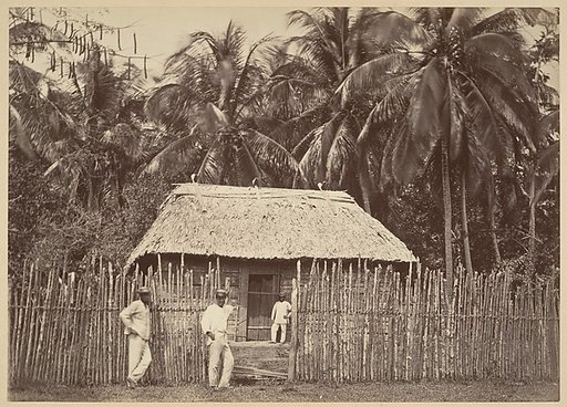 Tropical Scenery, Native Hut, Turbo