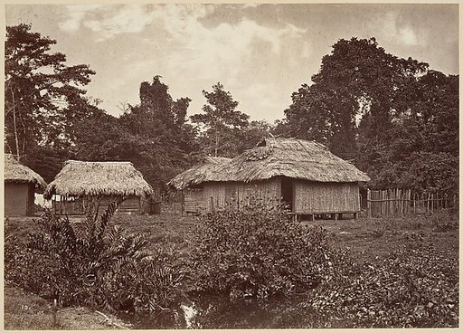Tropical Scenery, Turbo Village