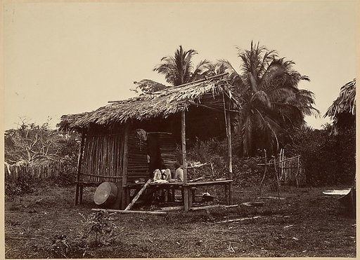 Tropical Scenery, Native Hut, Turbo