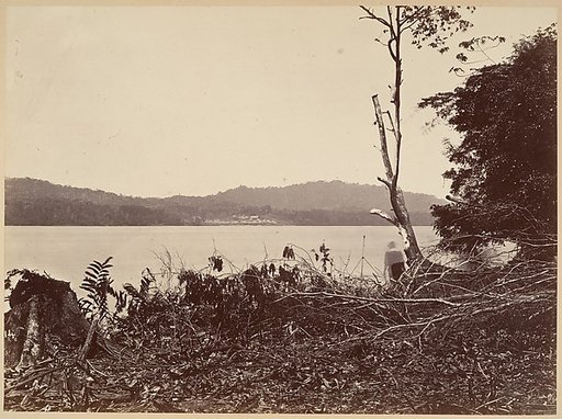 Tropical Scenery, Darien Harbor, Chipigana